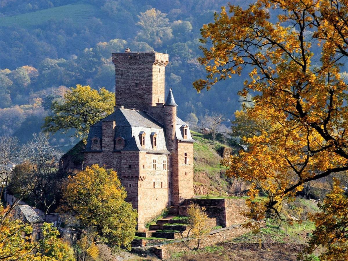 Chateau La Servayrie - Chambre D'Hotes Marcillac-Vallon Exterior foto
